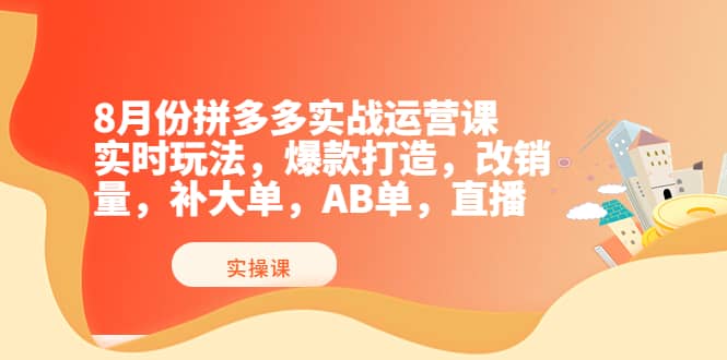 8月份拼多多实战运营课，实时玩法，爆款打造，改销量，补大单，AB单，直播-淘金创客