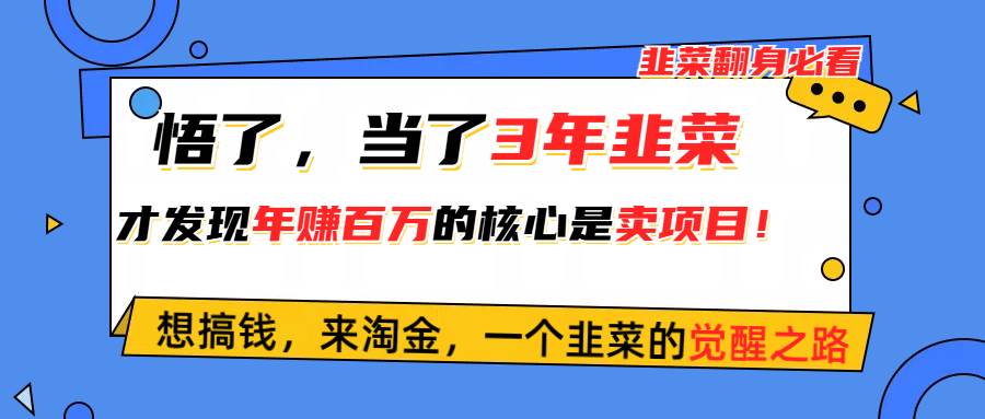 悟了，当了3年韭菜，才发现网赚圈年赚100万的核心是卖项目，含泪分享！-淘金创客