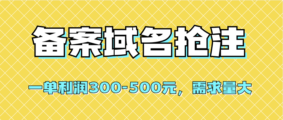 【全网首发】备案域名抢注，一单利润300-500元，需求量大-淘金创客