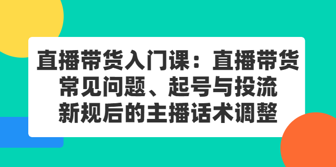 直播带货入门课：直播带货常见问题、起号与投流、新规后的主播话术调整-淘金创客