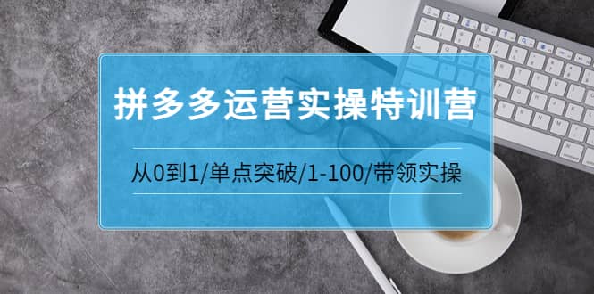 拼多多运营实操特训营：从0到1/单点突破/1-100/带领实操 价值2980元-淘金创客