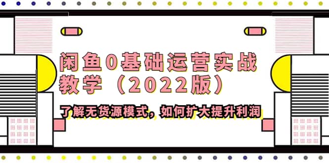 闲鱼0基础运营实战教学（2022版）了解无货源模式，如何扩大提升利润-淘金创客