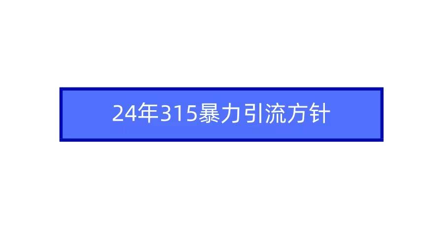 2024年315暴力引流方针-淘金创客