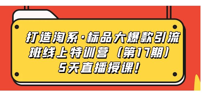 打造淘系·标品大爆款引流班线上特训营5天直播授课！-淘金创客