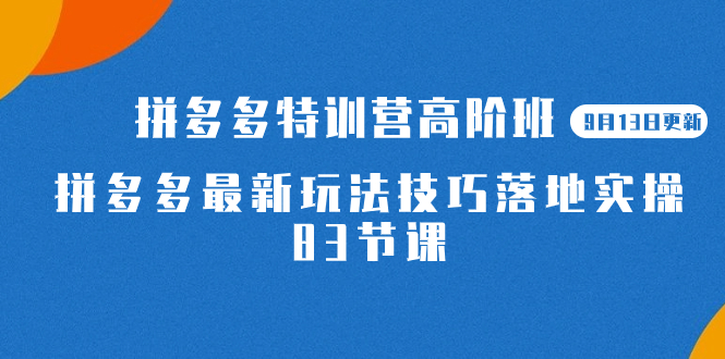 2023拼多多·特训营高阶班【9月13日更新】拼多多最新玩法技巧落地实操-83节-淘金创客