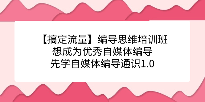 【搞定流量】编导思维培训班，想成为优秀自媒体编导先学自媒体编导通识1.0-淘金创客