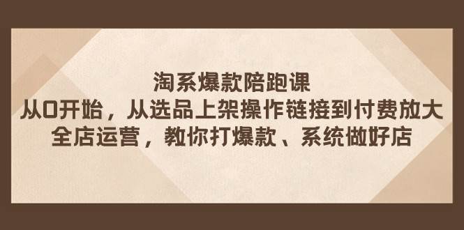 淘系爆款陪跑课 从选品上架操作链接到付费放大 全店运营 打爆款 系统做好店-淘金创客