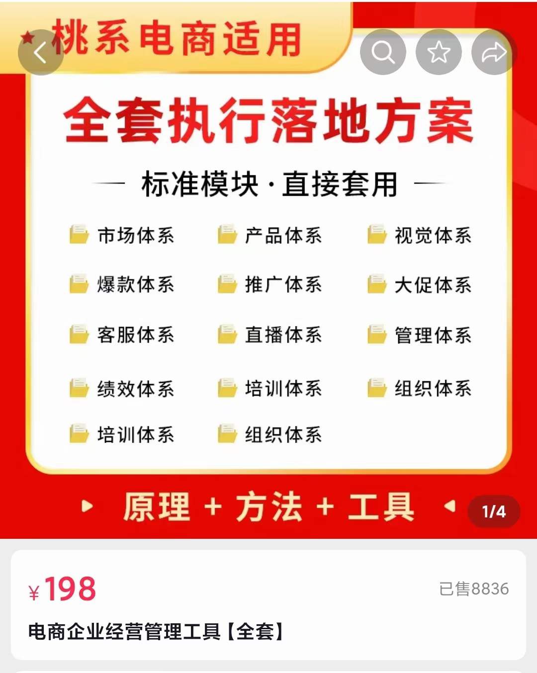 外面卖198·电商企业经营管理工具：全套执行落地方案 标准模块·直接套用-淘金创客