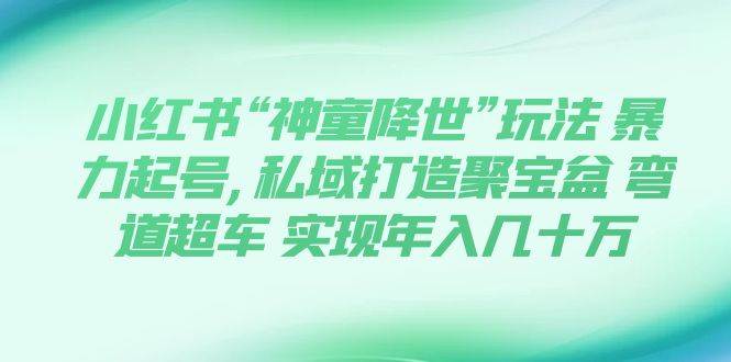 小红书“神童降世”玩法 暴力起号,私域打造聚宝盆 弯道超车 实现年入几十万-淘金创客