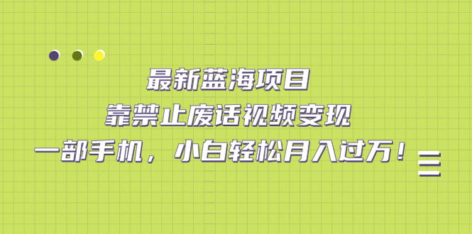 最新蓝海项目，靠禁止废话视频变现，一部手机，小白轻松月入过万！-淘金创客