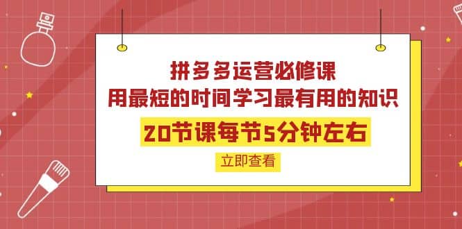 拼多多运营必修课：20节课每节5分钟左右，用最短的时间学习最有用的知识-淘金创客