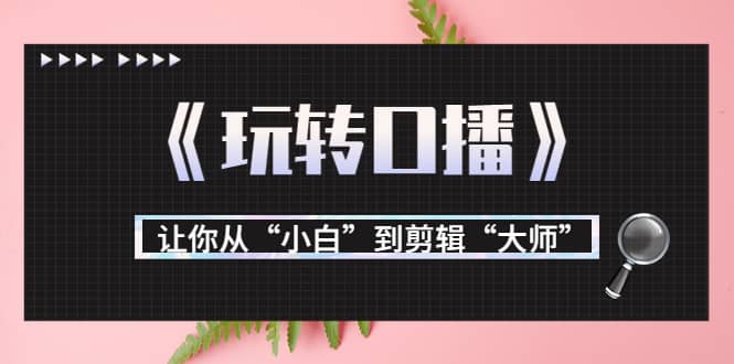 月营业额700万+大佬教您《玩转口播》让你从“小白”到剪辑“大师”-淘金创客