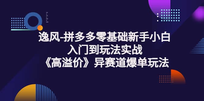 拼多多零基础新手小白入门到玩法实战《高溢价》异赛道爆单玩法实操课-淘金创客