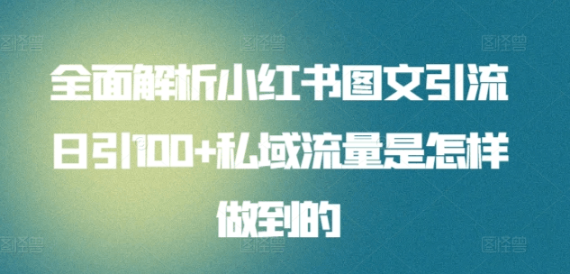 全面解析小红书图文引流日引100私域流量是怎样做到的-淘金创客