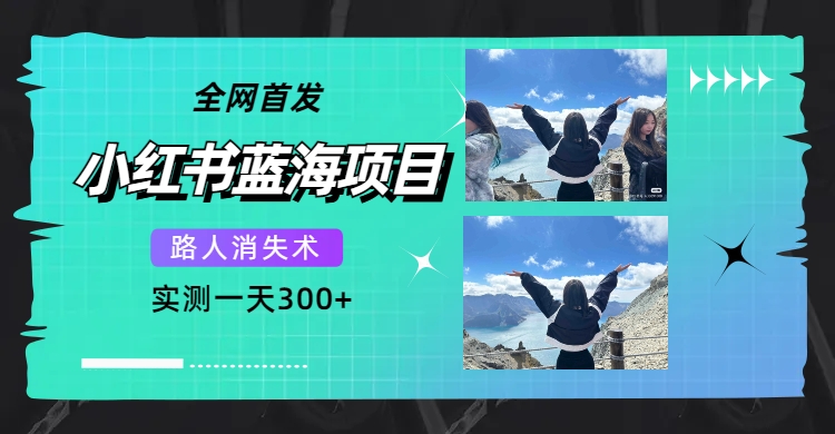 全网首发，小红书蓝海项目，路人消失术，实测一天300+（教程+工具）-淘金创客