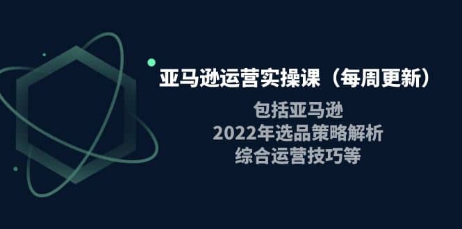 亚马逊运营实操课（每周更新）包括亚马逊2022选品策略解析，综合运营技巧等-淘金创客