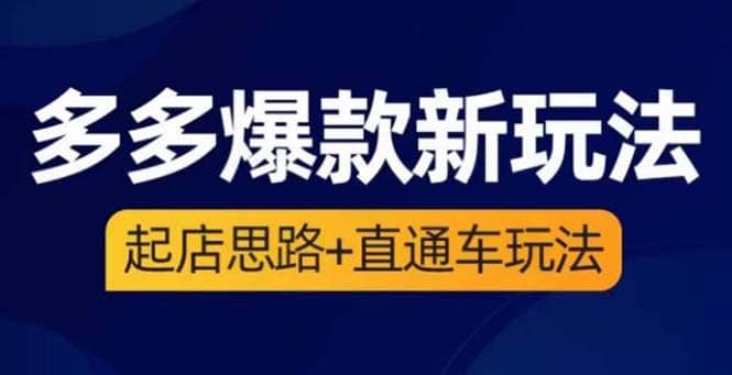 2023拼多多爆款·新玩法：起店思路+直通车玩法（3节精华课）-淘金创客