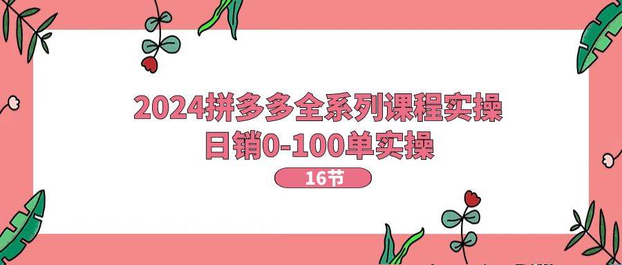 2024拼多多全系列课程实操，日销0-100单实操【16节课】-淘金创客