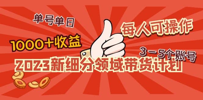 2023新细分领域带货计划：单号单日1000+收益不难，每人可操作3-5个账号-淘金创客