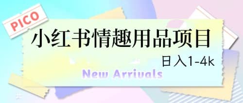 最新小红书情趣用品项目，日入1-4k-淘金创客