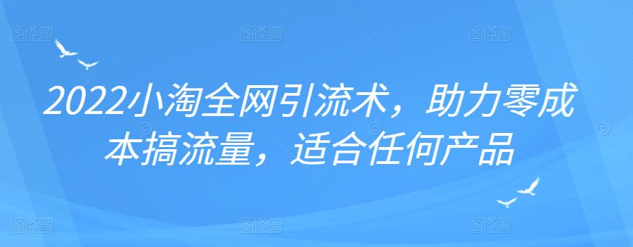 2022年小淘全网引流术，助力零成本搞流量，适合任何产品-淘金创客