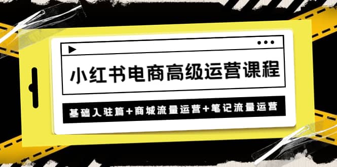 小红书电商高级运营课程：基础入驻篇+商城流量运营+笔记流量运营-淘金创客