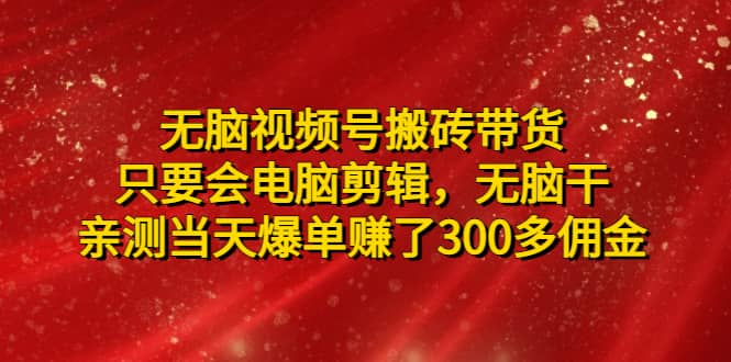 无脑视频号搬砖带货，只要会电脑剪辑，无脑干-淘金创客