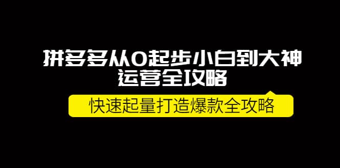 拼多多从0起步小白到大神运营全攻略-淘金创客