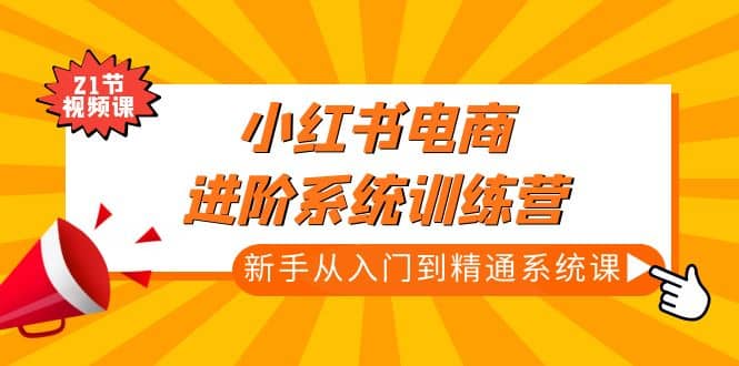 小红书电商进阶系统训练营：新手从入门到精通系统课（21节视频课）-淘金创客