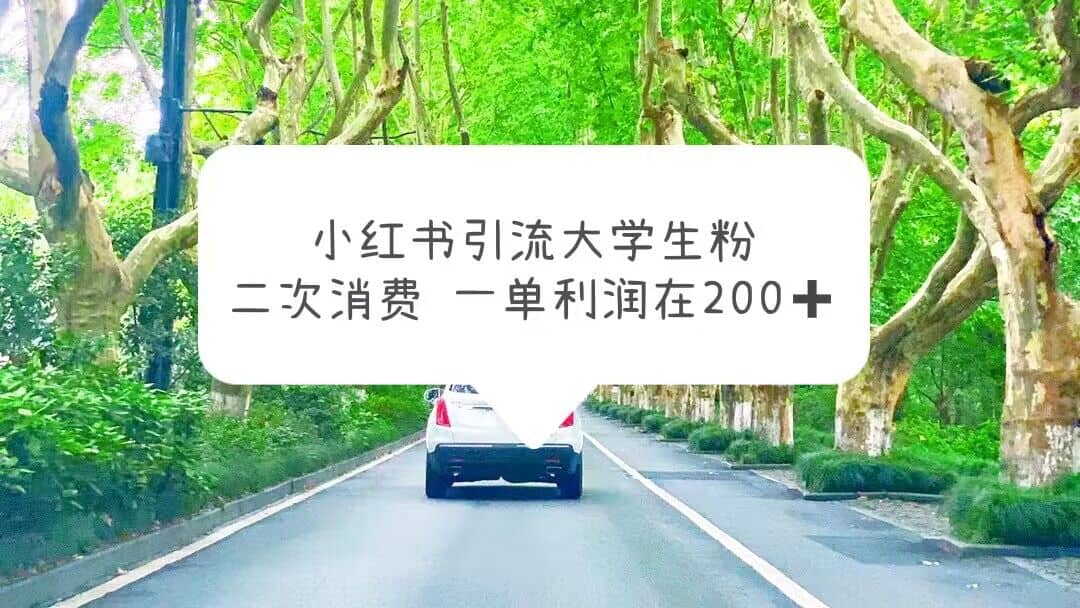 小红书引流大学生粉，变现项目，一单利润在200+（教程+资源）-淘金创客