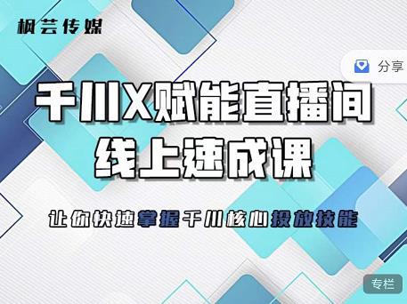 枫芸传媒-线上千川提升课，提升千川认知，提升千川投放效果-淘金创客