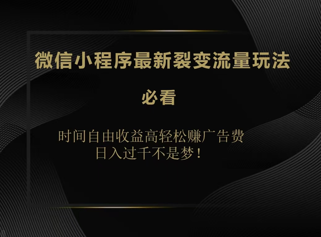 微信小程序最新裂变流量玩法，时间自由收益高轻松赚广告费，日入200-500+-淘金创客