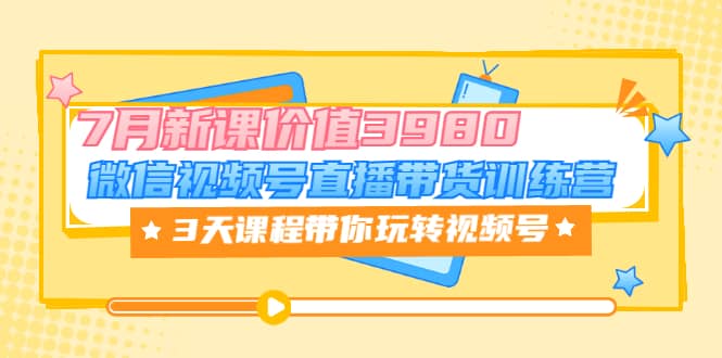 微信视频号直播带货训练营，3天课程带你玩转视频号：7月新课价值3980-淘金创客