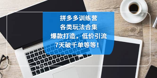 拼多多训练营：各玩法合集，爆款打造，低价引流，7天破千单等等-淘金创客