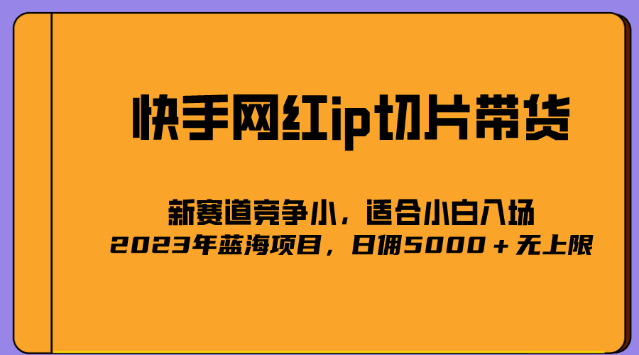 2023爆火的快手网红IP切片，号称日佣5000＋的蓝海项目，二驴的独家授权-淘金创客
