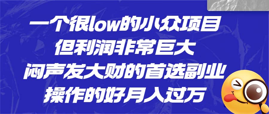 一个很low的小众项目，但利润非常巨大，闷声发大财的首选副业，月入过万-淘金创客