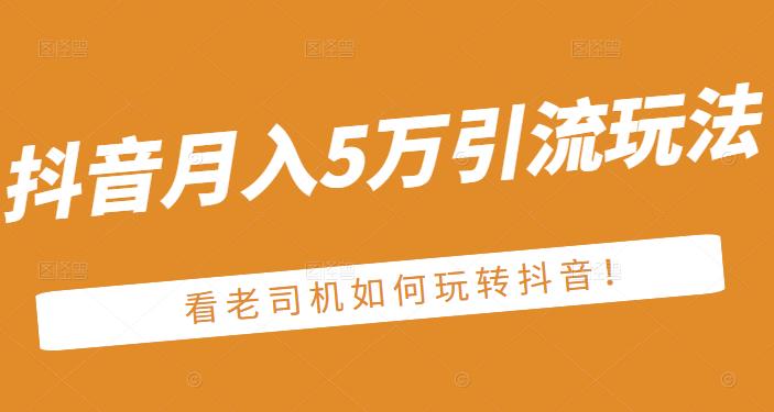 老古董·抖音月入5万引流玩法，看看老司机如何玩转抖音(附赠：抖音另类引流思路)-淘金创客