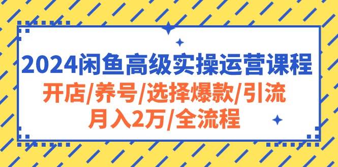 2024闲鱼高级实操运营课程：开店/养号/选择爆款/引流/月入2万/全流程-淘金创客
