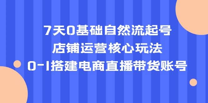 7天0基础自然流起号，店铺运营核心玩法，0-1搭建电商直播带货账号-淘金创客