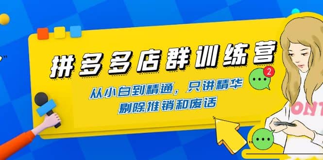 拼多多店群训练营：从小白到精通，只讲精华，剔除推销和废话-淘金创客