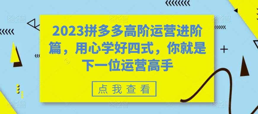 2023拼多多高阶运营进阶篇，用心学好四式，你就是下一位运营高手-淘金创客