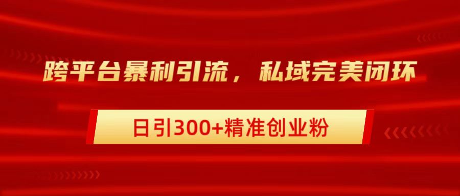 跨平台暴力引流，私域完美闭环，日引300+精准创业粉-淘金创客