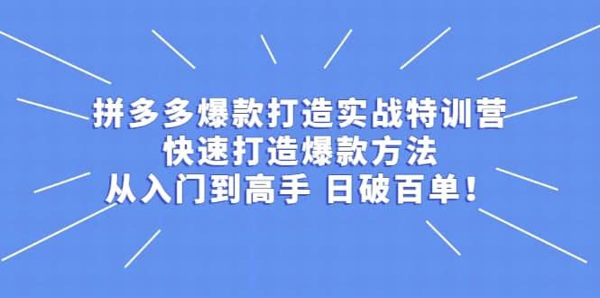 拼多多爆款打造实战特训营：快速打造爆款方法，从入门到高手 日破百单-淘金创客