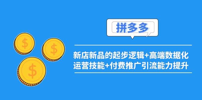 2022拼多多：新店新品的起步逻辑+高端数据化运营技能+付费推广引流能力提升-淘金创客