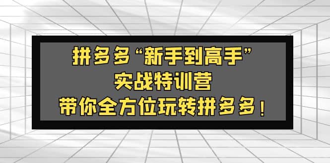 拼多多“新手到高手”实战特训营：带你全方位玩转拼多多-淘金创客