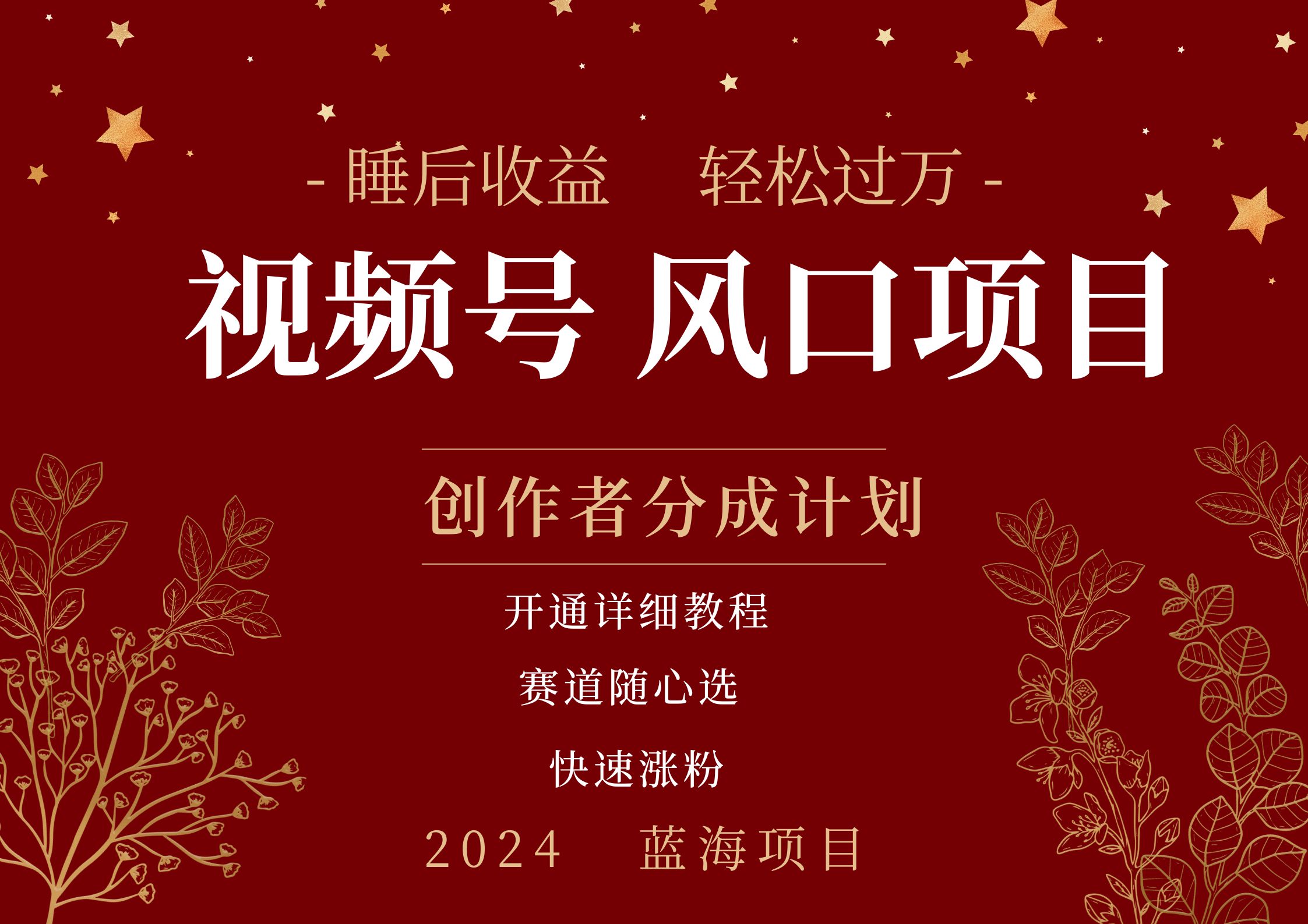 拥有睡眠收益的微信视频号大风口项目，轻松月入过万+，多赛道选择，可矩阵，玩法简单轻松上手-淘金创客