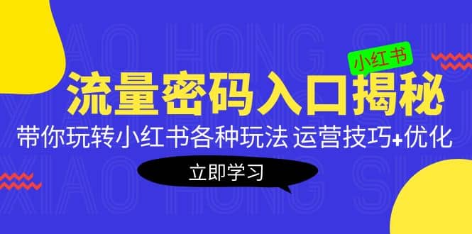 小红书流量密码入口揭秘：带你玩转小红书各种玩法 运营技巧+优化-淘金创客