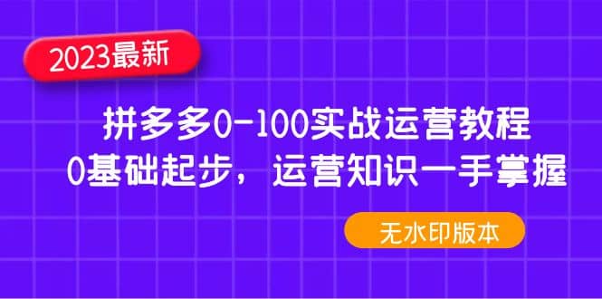 2023拼多多0-100实战运营教程，0基础起步，运营知识一手掌握（无水印）-淘金创客