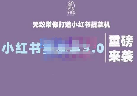 谢无敌·小红书实战营3.0，无敌带你打造小红书提款机 价值7999元-淘金创客