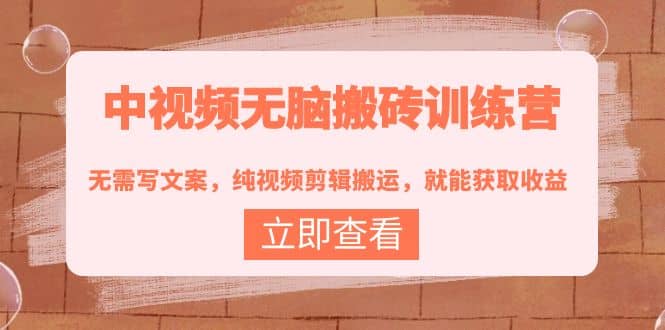 中视频无脑搬砖训练营：无需写文案，纯视频剪辑搬运，就能获取收益-淘金创客